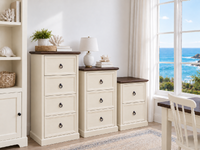 ALPINE (AUSSIE MADE) FILING CABINET COLLECTION - ASSORTED COLOURS - STARTING FROM $749